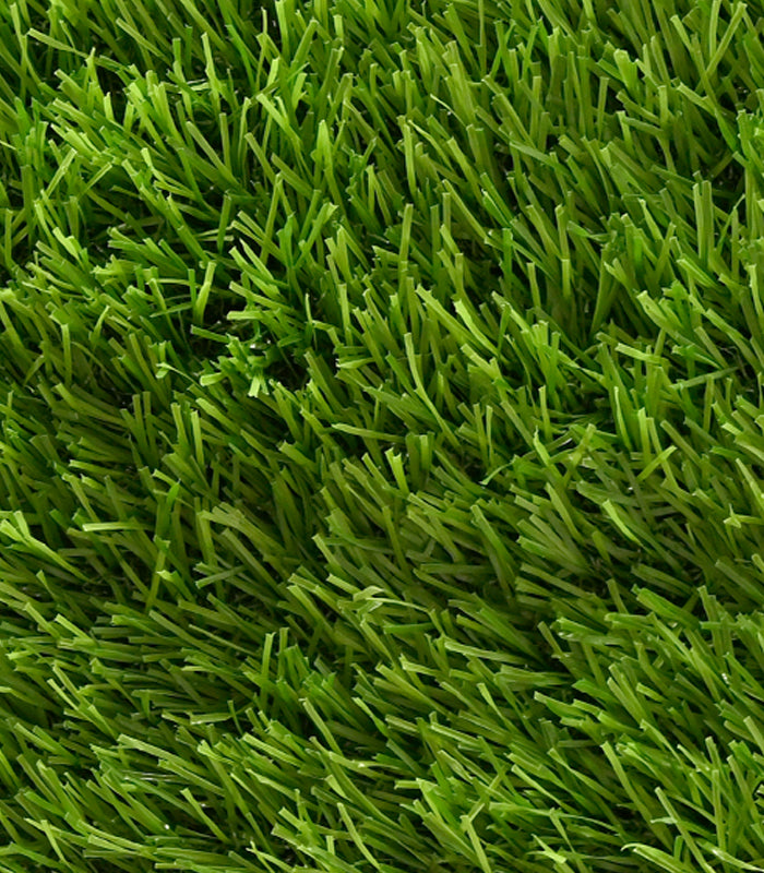 Grass Carpet