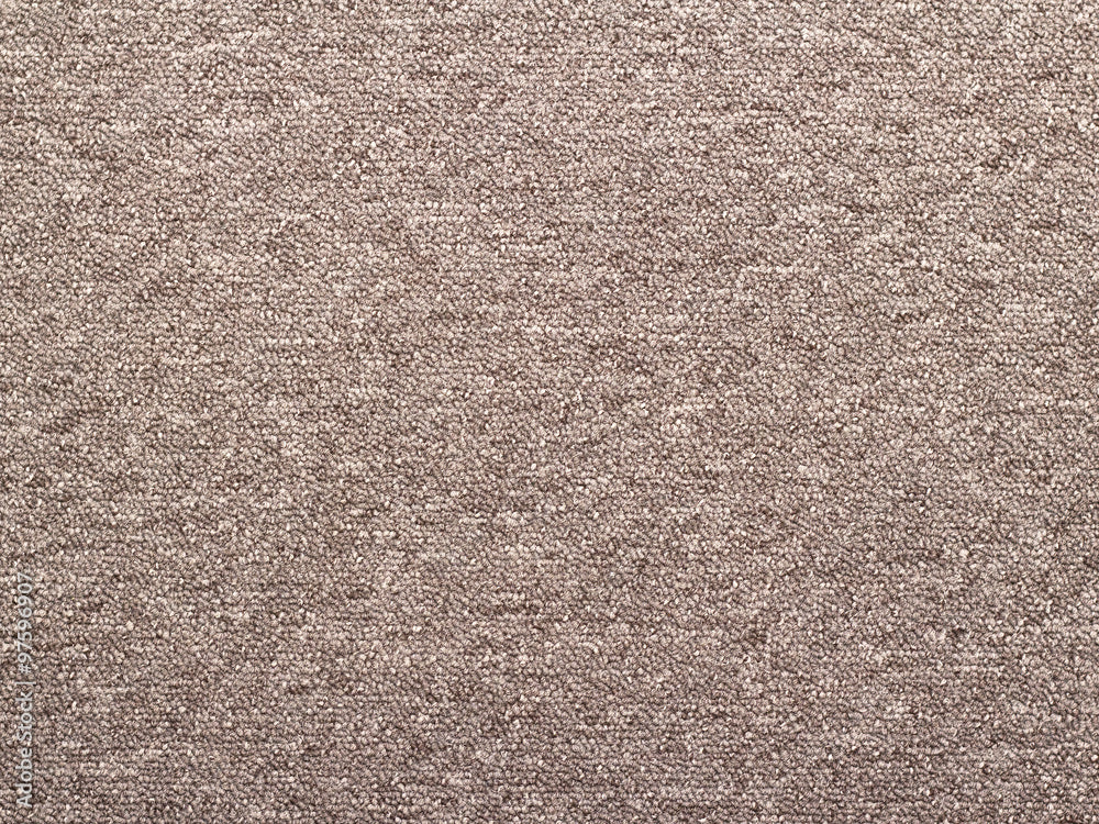 Versatile Plain Carpet - The Essential Accent for Every Room